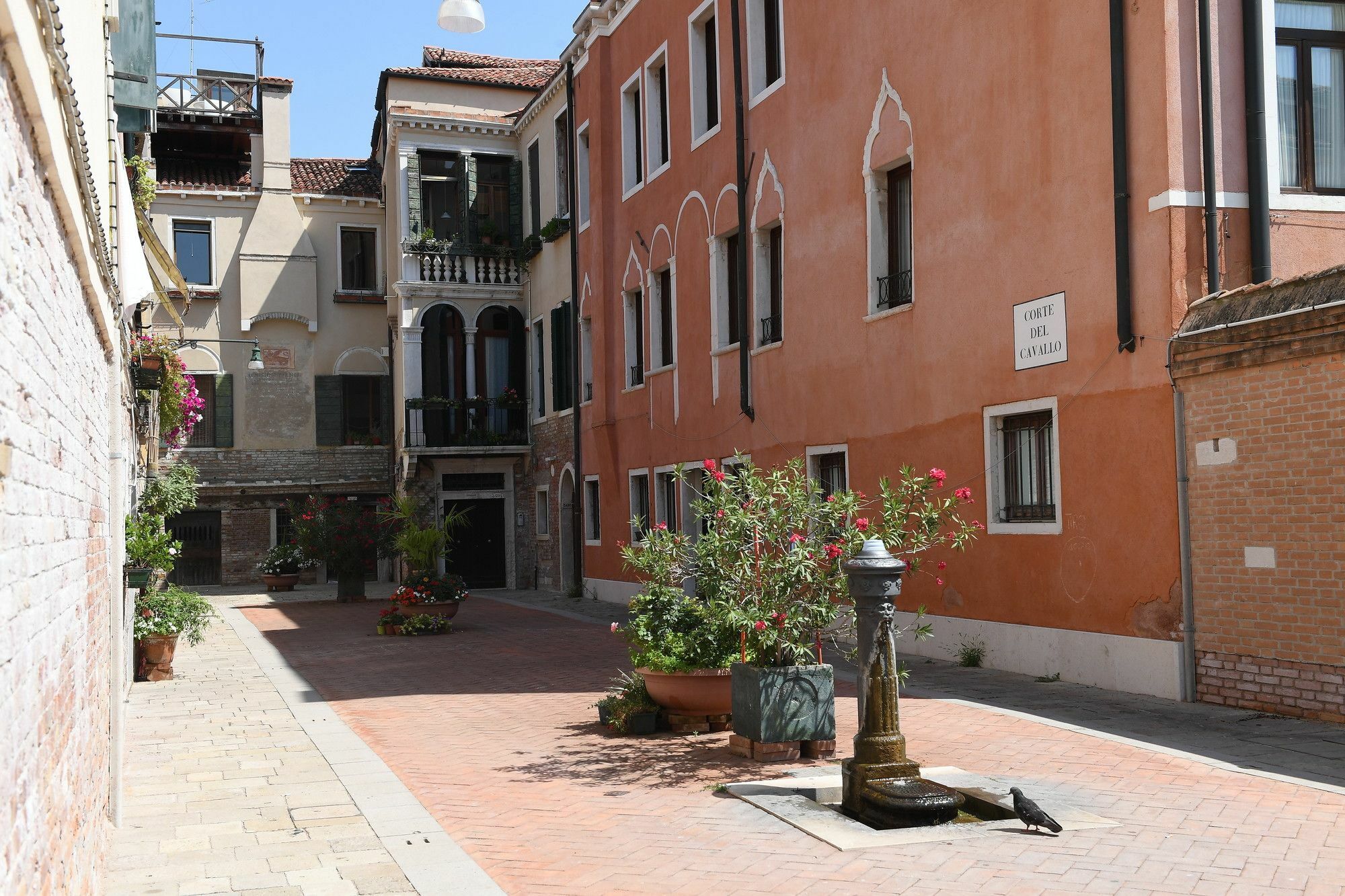 Amor Mio B&B Venezia Eksteriør bilde